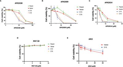 RelA Is an Essential Target for Enhancing Cellular Responses to the DNA Repair/Ref-1 Redox Signaling Protein and Restoring Perturbated Cellular Redox Homeostasis in Mouse PDAC Cells